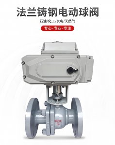 DN50、DN65、DN80電動球閥價格