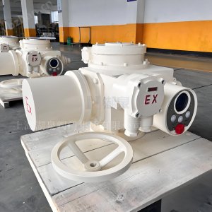 閥門電動裝置dzw90-24選型手冊及調(diào)試視頻