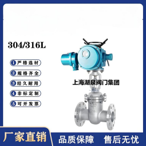 Z941W-16P，DN250，CF8/F304不銹鋼電動閘閥